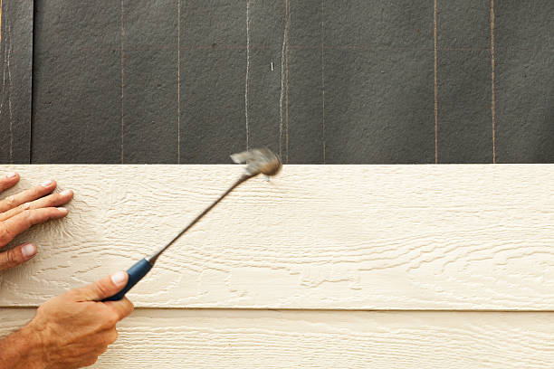 Best Fascia and Soffit Installation  in , KY